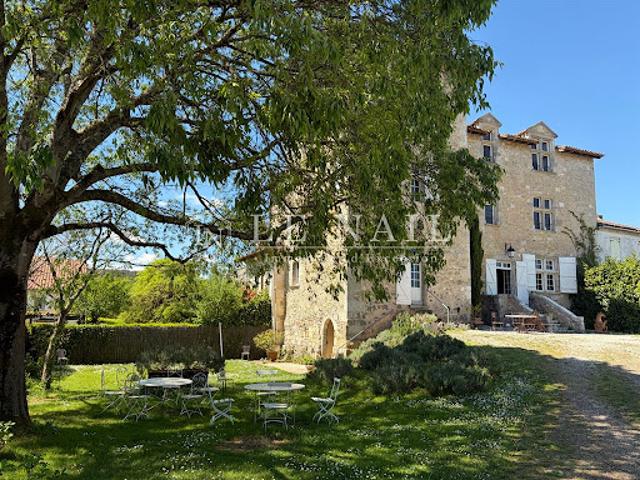 Château vente à Nérac