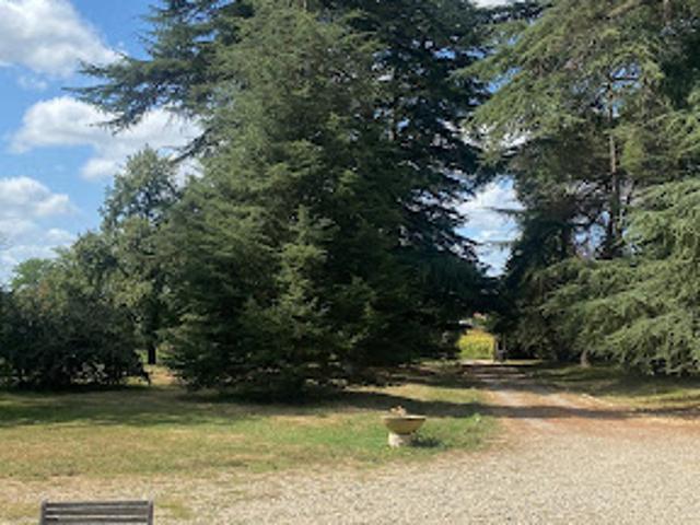 Château vente à Samazan
