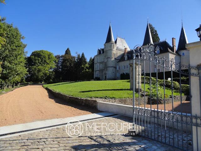 Château vente à Vichy