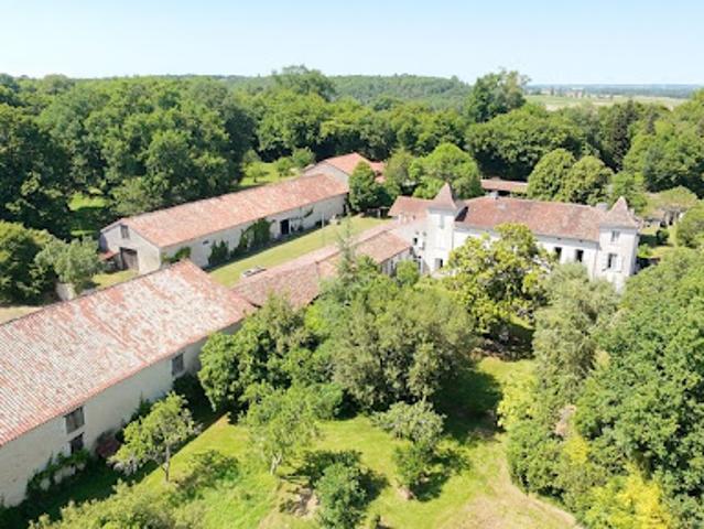 Château vente à Cognac, Condéon