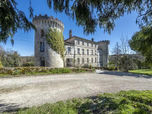 Château vente à Angoulême, Charente