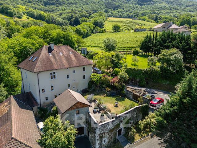 Château vente à Chambéry, Ruffieux