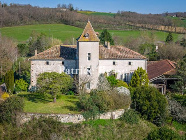 Château vente à Agen