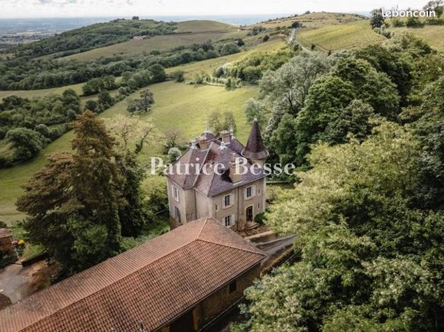 Maison vente à Montmelas-Saint-Sorlin, Rhône