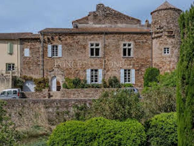 Château vente à Clermont-l'hérault Château vente à Clermont-l'hérault