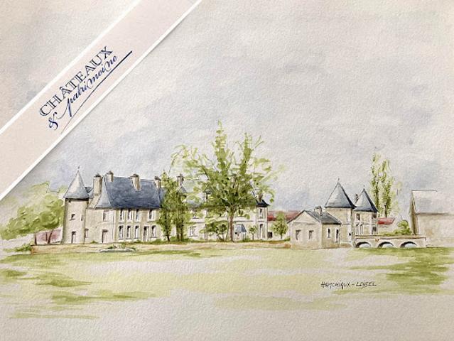Château vente à Châtellerault