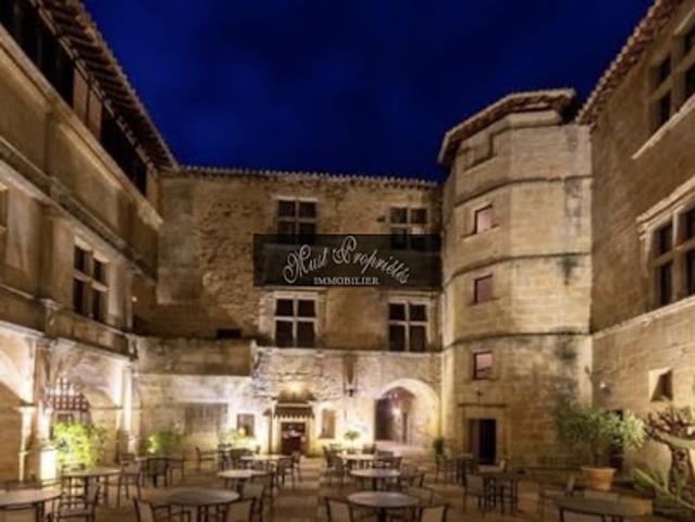 Château vente à Carcassonne