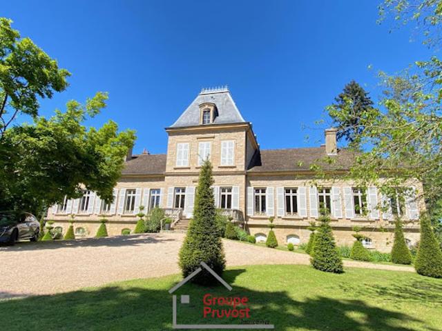 Château vente à Mâcon