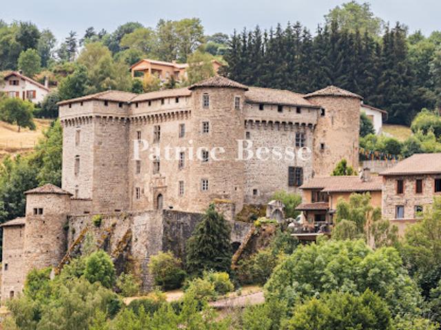 Château vente à Montbrison, Auvergne-Rhône-Alpes