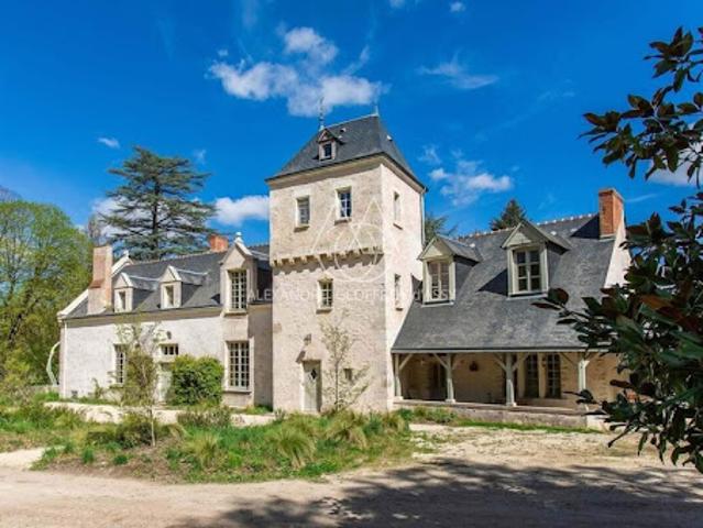 Château vente à Blois, Cellettes