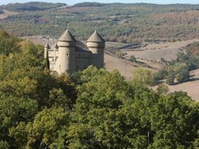 Château vente à Millau, Rivière-sur-tarn