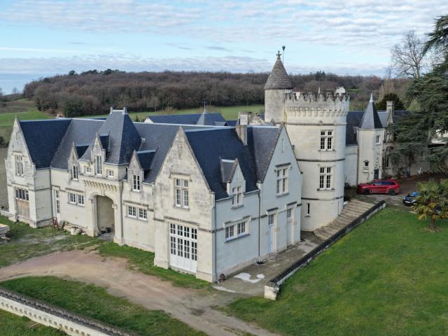 Château vente à Chinon