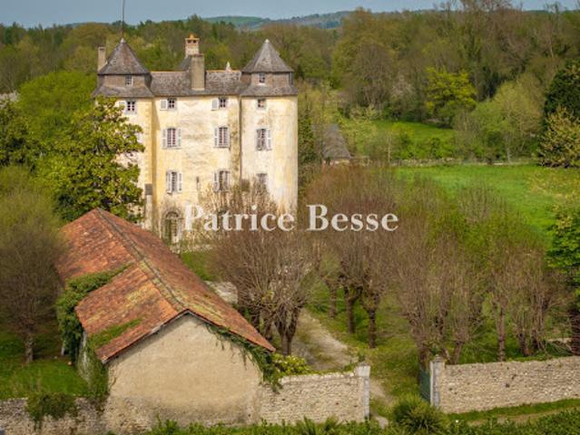 Château vente à Tarbes