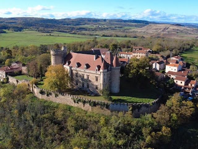 Château vente à Brioude