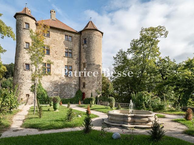 Château vente à Valence