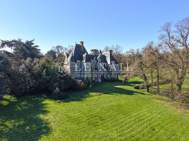 Château vente à Segré, Le Lion-d'angers