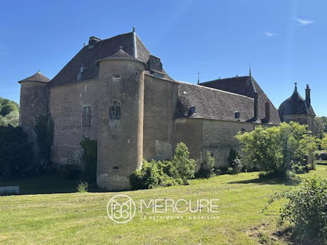 Château vente à Vesoul, Filain