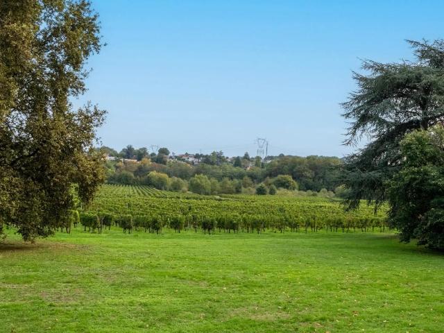 Château vente à Bordeaux, Yvrac