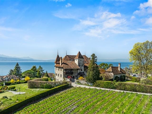 Immobilie kaufen in Paudex, Waadt