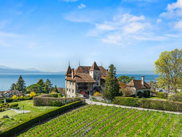 Immobilie kaufen in Paudex, Waadt