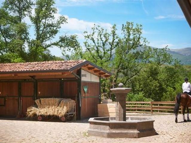 Château vente à Grasse, Roquefort-les-pins