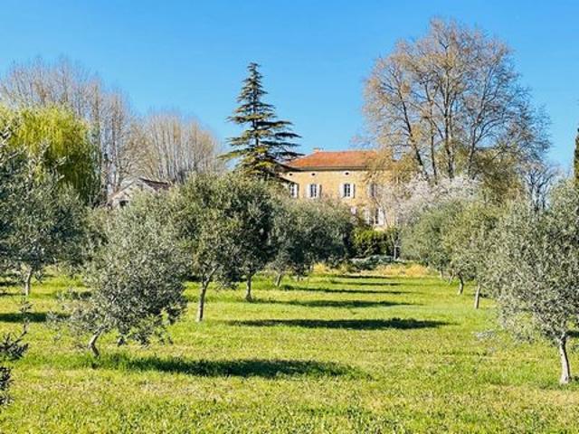 Château vente à Orange, Baron