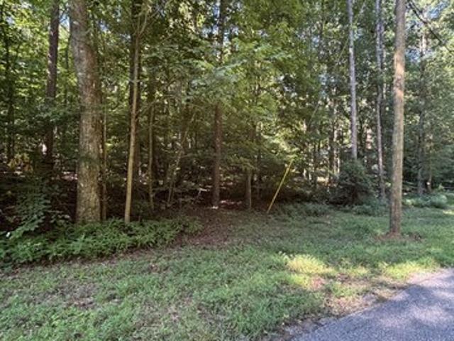 Land for sale in Lavonia, Georgia