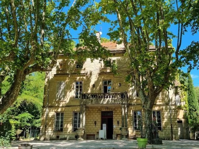 Château vente à Carpentras, Bollène