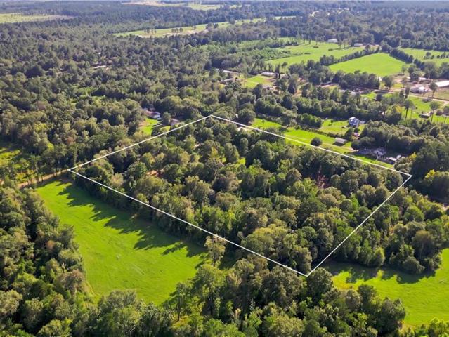 Land for sale in Loranger, Tangipahoa Parish