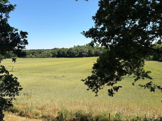 Studio location à Château-Guibert