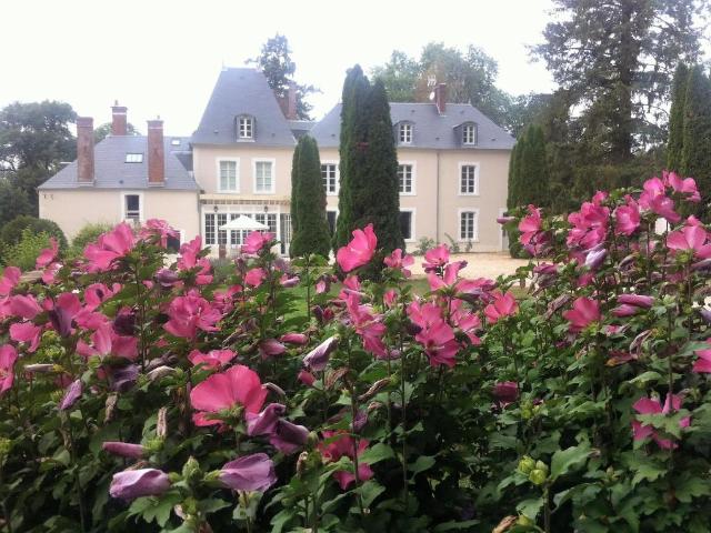 Château vente à Vierzon, Ivoy-le-pré