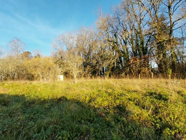 Terrain vente à Périgueux, Château-l'evêque
