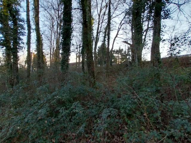 Terrain vente à Périgueux, Château-l'evêque