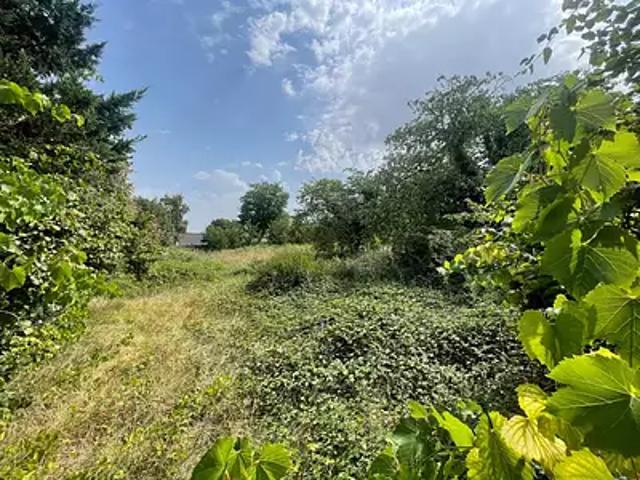 Terrain vente à Montargis, Château-renard