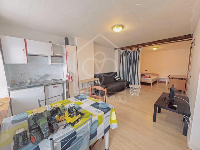 Appartement location à Sarrebourg-Château-Salins, Château-salins