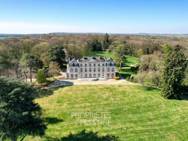 Château vente à Fontainebleau