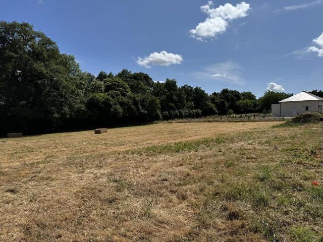 Terrain vente à Châteaubriant-Ancenis, Châteaubriant