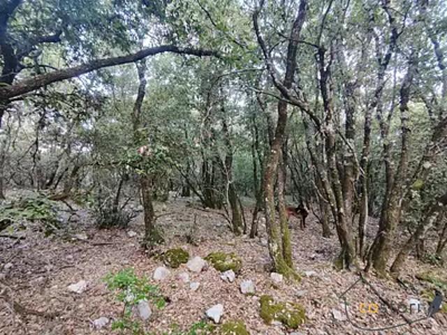 Terrain vente à Arrondissement de Draguignan, Châteaudouble