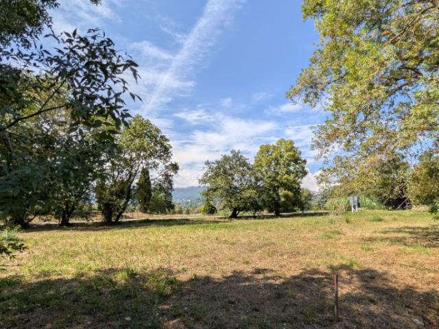 Terrain vente à Grasse, Châteauneuf-grasse