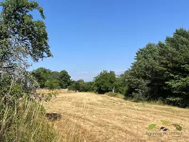 Terrain vente à Limoges, Châteauneuf-la-forêt