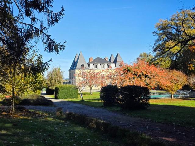 Château vente à Châteauneuf-la-Forêt, Haute-Vienne