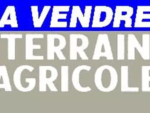 Terrain vente à Saint-Amand-Montrond, Châteauneuf-sur-cher