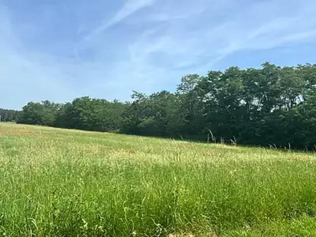 Terrain vente à Châteauneuf-sur-Loire, Loiret