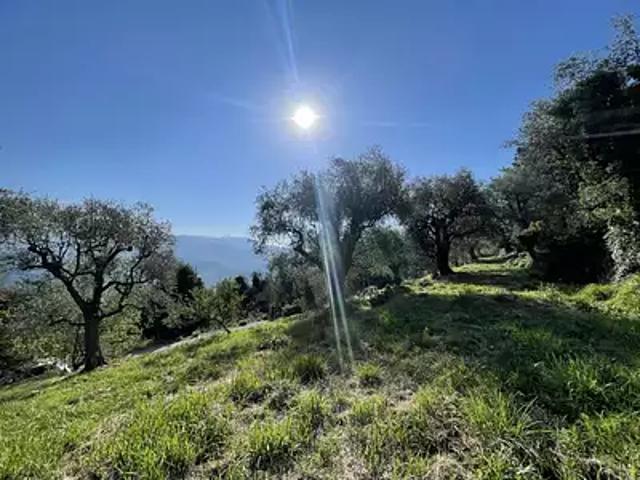 Terrain vente à France métropolitaine, Châteauneuf-villevieille