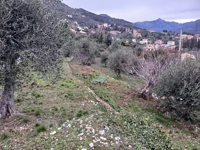 Terrain vente à Nice, Châteauneuf-villevieille