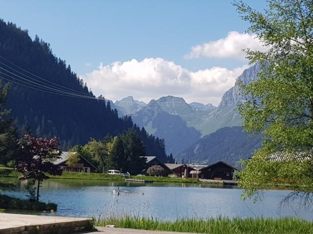 Appartement vente à Thonon-les-Bains, Le Châtel