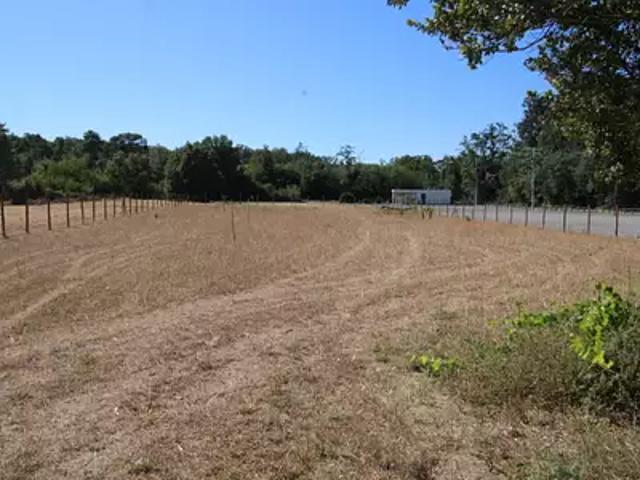 Terrain vente à Châtellerault