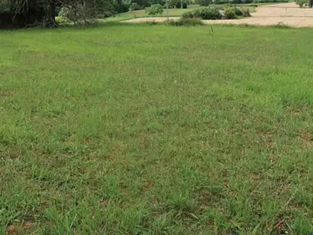 Terrain vente à Châtellerault
