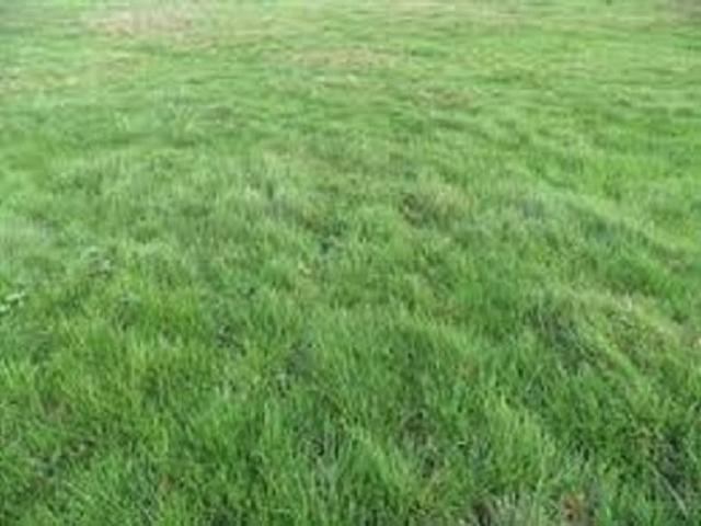 Terrain vente à Châtenay-sur-seine