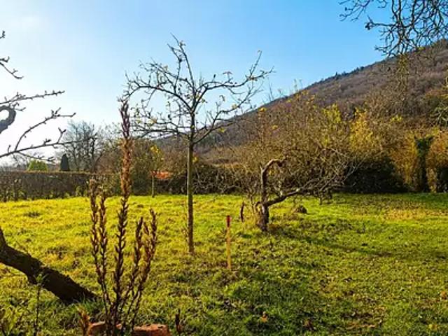 Terrain vente à Châtenois, Collectivité européenne d'Alsace